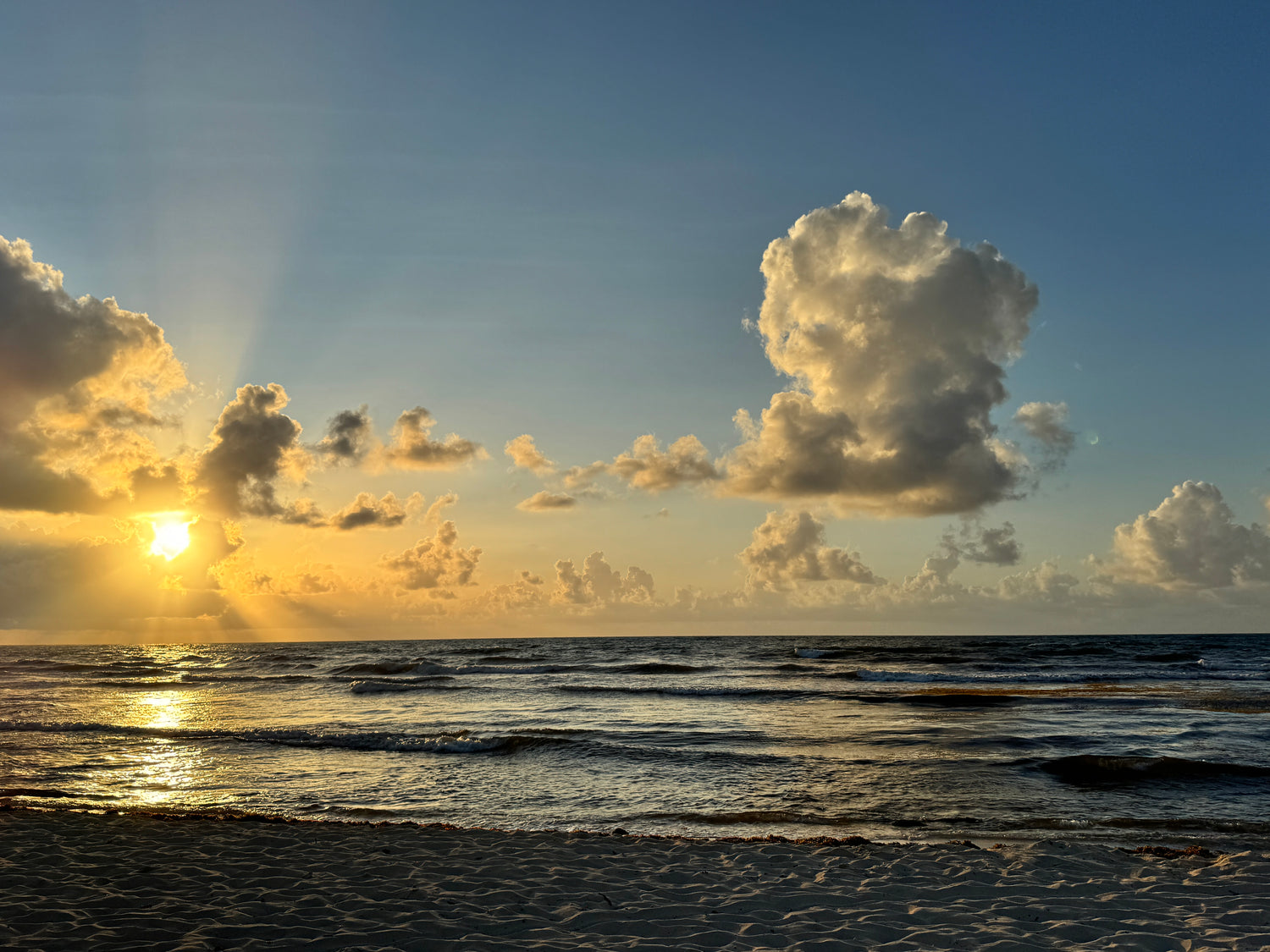 Info-Warrior Training Retreat: Tulum 2025 (Deposit)
