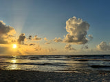 Info-Warrior Training Retreat: Tulum 2025 (Deposit)
