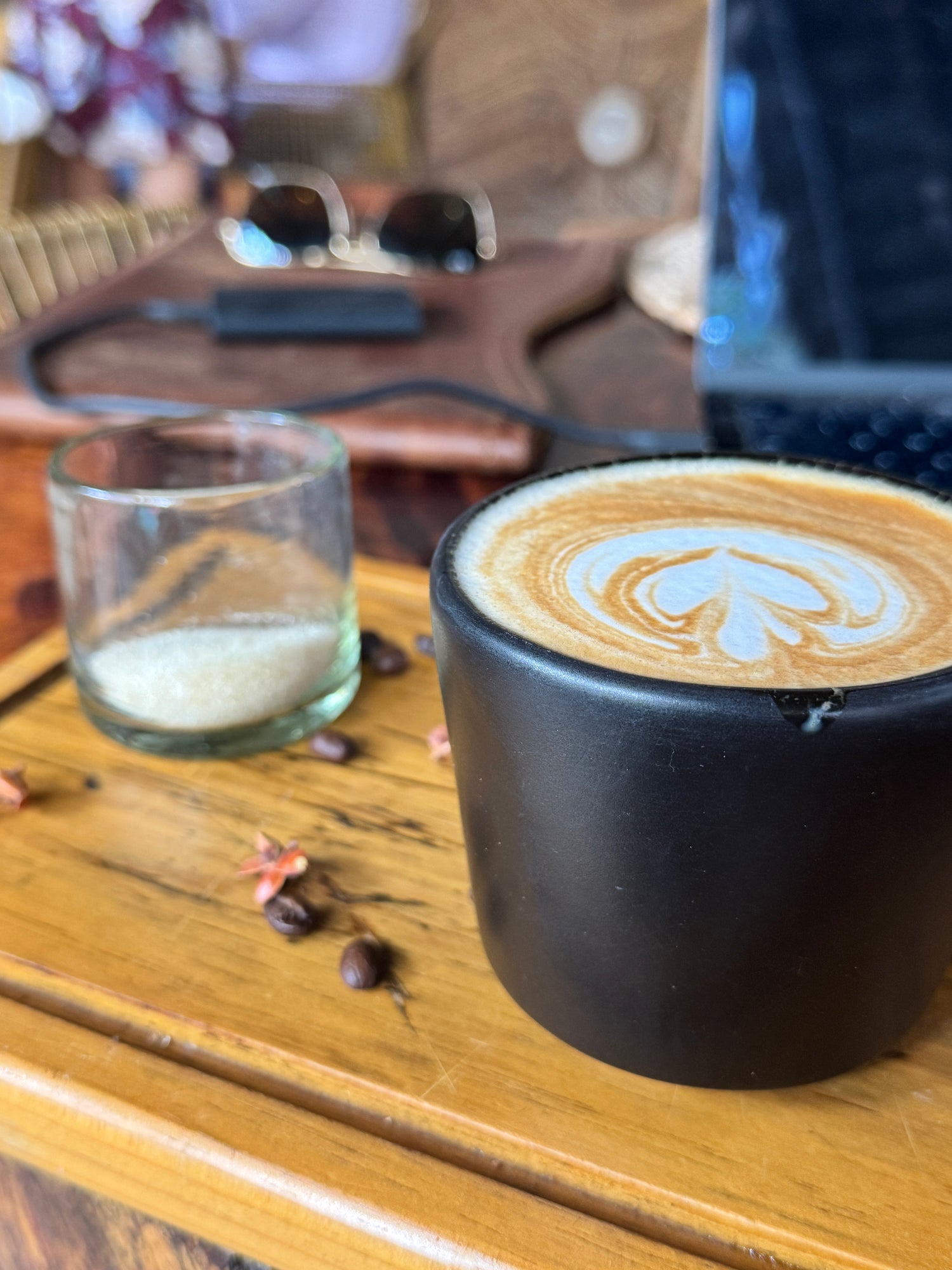 Info-Warrior Training Retreat: Tulum 2025 (Deposit)